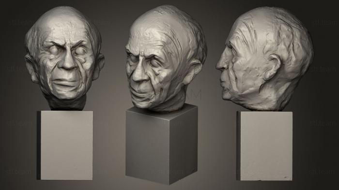 3D модель Ретрато де Пикассо (STL)